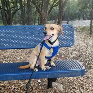 Meet your Posher, Candice